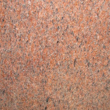 VANGA