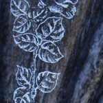 Rose fotorealistisch gestrahlt und getönt